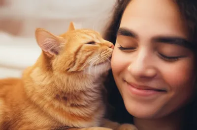 Illustration bunts - Image 1