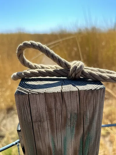 Illustration noose - Image 1