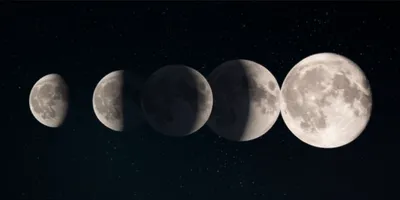 Illustration waxes - Image 1