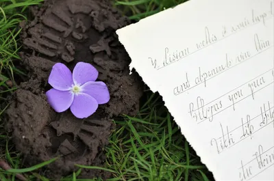 Illustration smut - Image 1