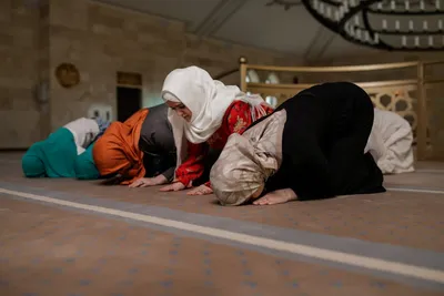 Illustration carpeted - Image 2