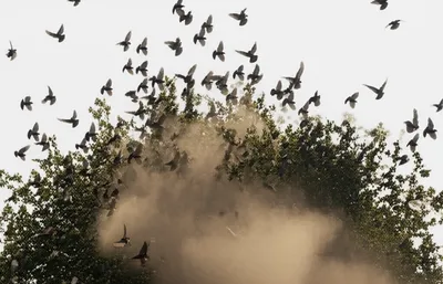 Illustration blow - Image 1