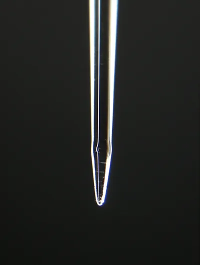 Illustration end - Image 1