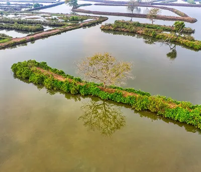 Illustration fishpond - Image 2