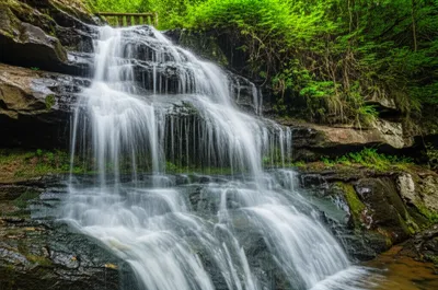 Hình ảnh minh họa horsetails - Ảnh 1