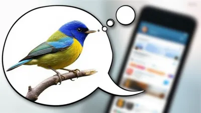 Illustration tweeter - Image 1