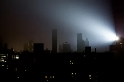 Illustration blooms - Image 1