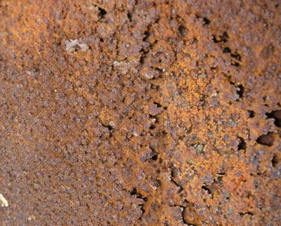 Illustration eaten - Image 1