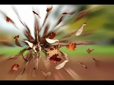 Illustration scatter - Image 1