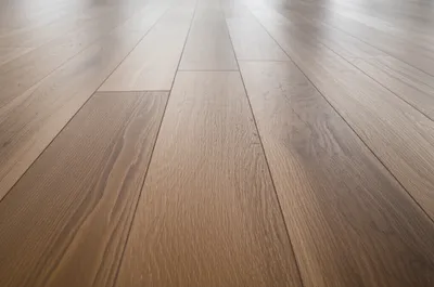 Illustration decks - Image 1