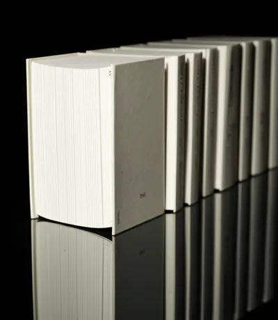 Illustration volume - Image 1