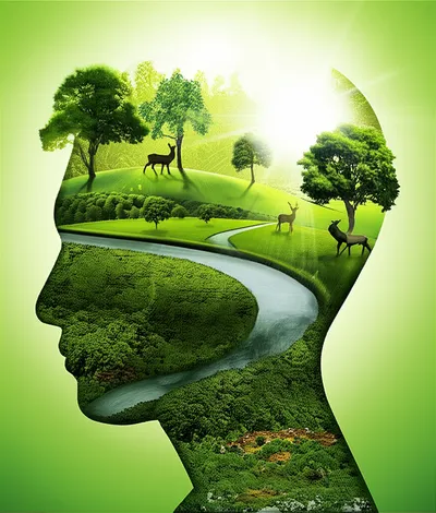 Illustration greens - Image 1