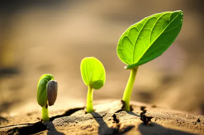 Illustration gradual - Image 1