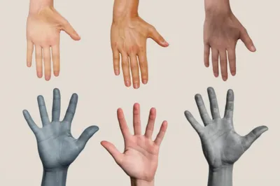 Illustration colour - Image 1