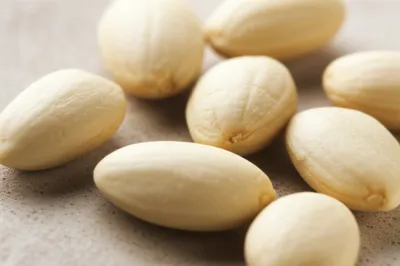 Illustration almond - Image 1