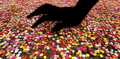 Illustration subjugation