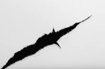 Illustration bite - Image 1