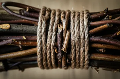 Illustration withes - Image 1