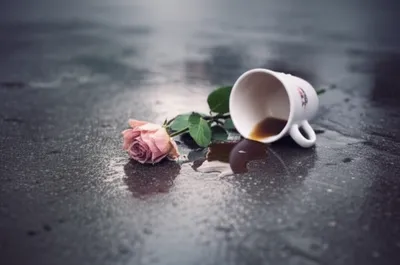 Illustration f - Image 1