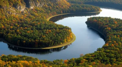 Illustration turnarounds - Image 1