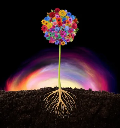 Illustration indeterminate - Image 1