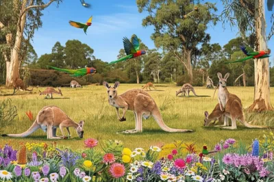 Illustration aborigines - Image 1