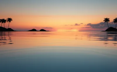 Illustration pacific