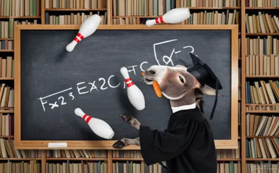 Illustration asinine - Image 1