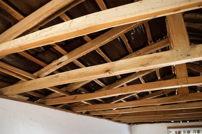 Illustration vigas - Image 1