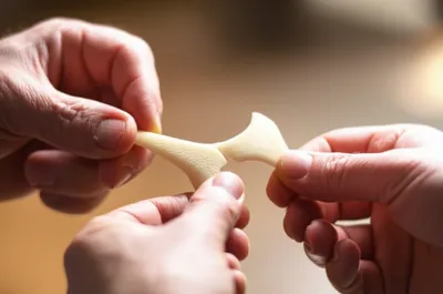 Illustration bones - Image 1