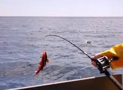 Illustration angle - Image 2