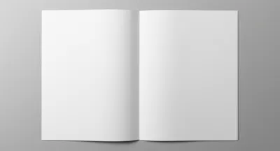 Illustration duplication - Image 1