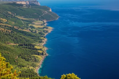 Illustration rand - Image 1