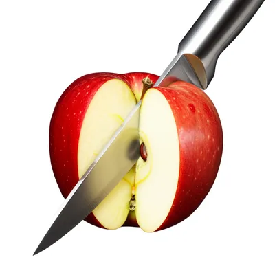 Illustration scission