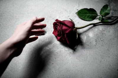 Illustration rejection - Image 1