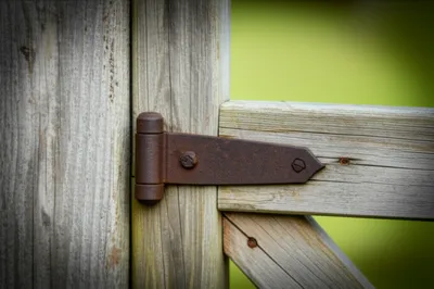 Illustration hook - Image 1