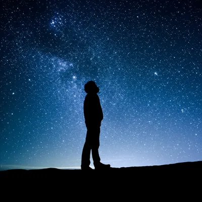 Illustration nos - Image 1