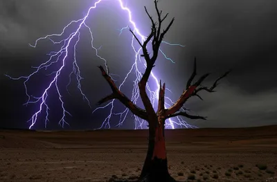 Illustration smite - Image 1