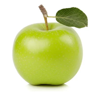 Illustration apple - Image 1