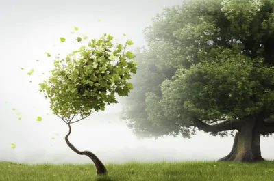 Illustration soft - Image 1