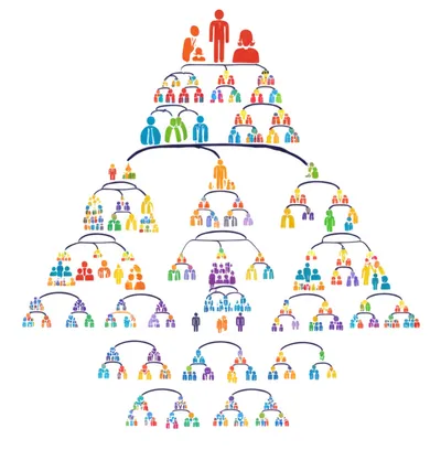 Illustration tribes - Image 1