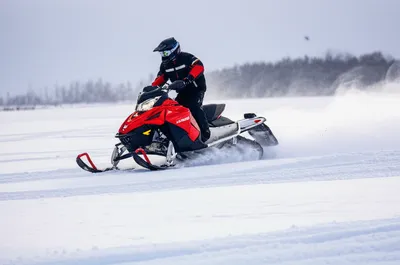 Illustration sled - Image 1