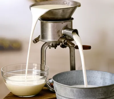 Illustration separator - Image 1