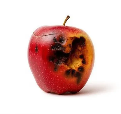 Illustration corrosive - Image 1