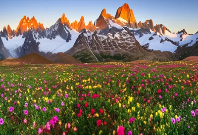 Illustration grandest - Image 1