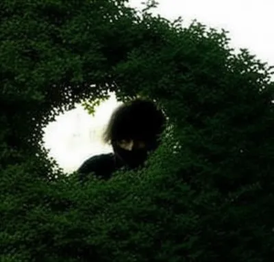 Illustration lurk - Image 1