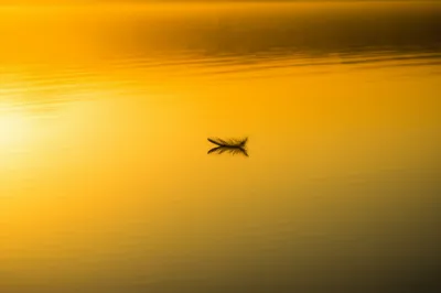 Illustration breathless - Image 1