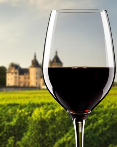 Illustration claret - Image 1