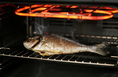 Illustration broiling - Image 1