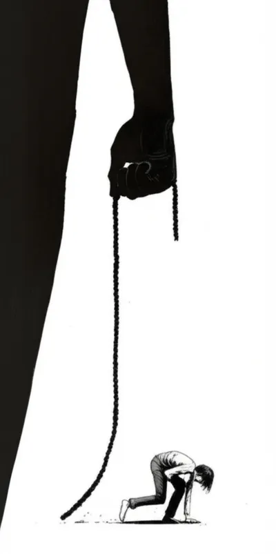 Illustration hauls - Image 1